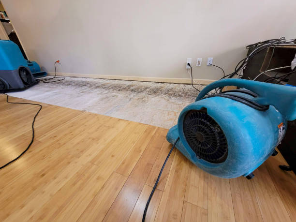 Professional Water Removal technician working in Southgate, FL